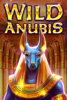 Wild Anubis