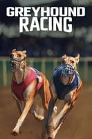 Greyhound Racing